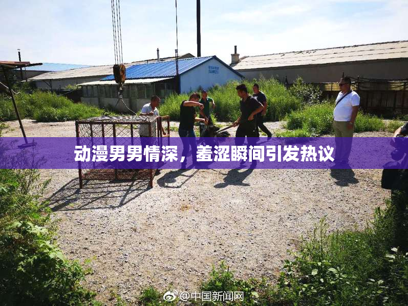 动漫男男情深，羞涩瞬间引发热议