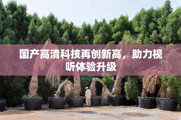 国产高清科技再创新高，助力视听体验升级