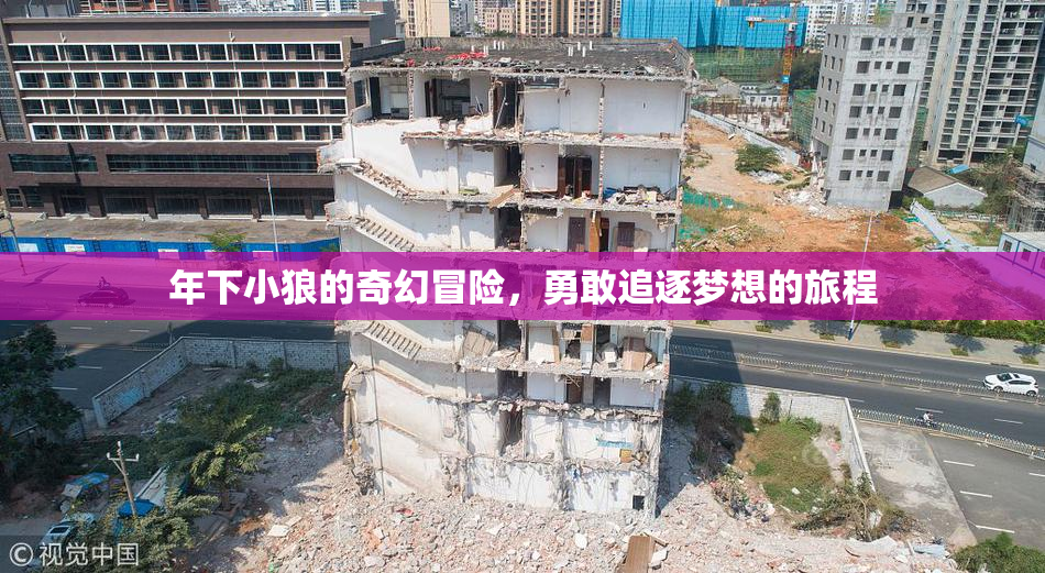 年下小狼的奇幻冒险，勇敢追逐梦想的旅程