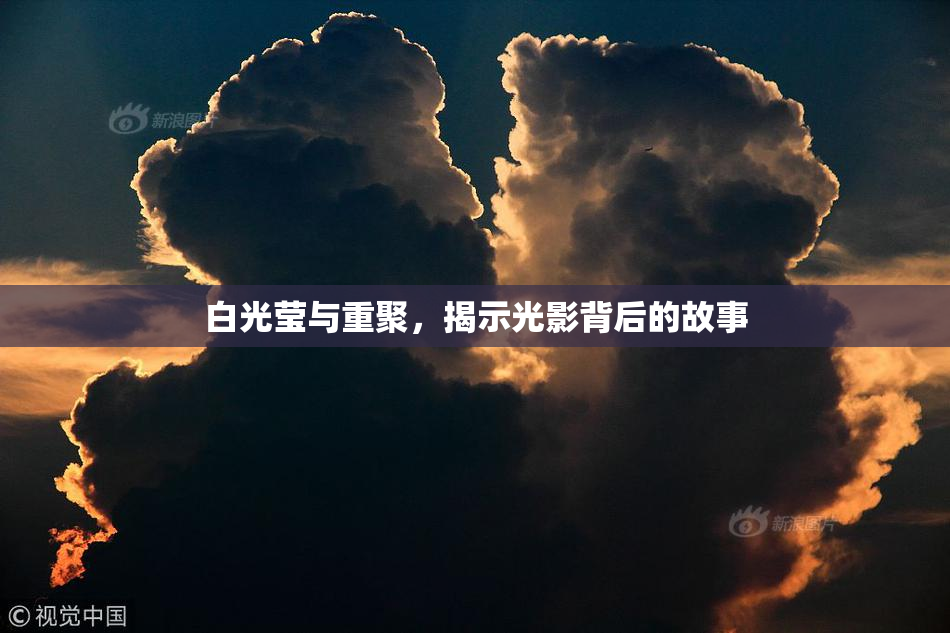 白光莹与重聚，揭示光影背后的故事