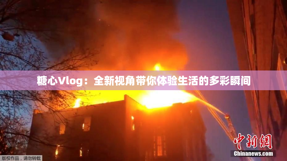 糖心Vlog：全新视角带你体验生活的多彩瞬间