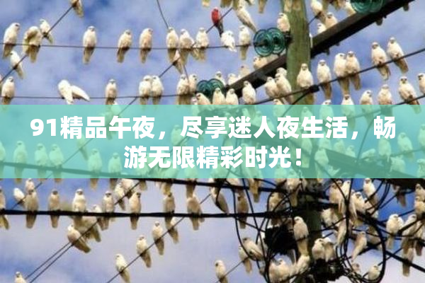 91精品午夜，尽享迷人夜生活，畅游无限精彩时光！
