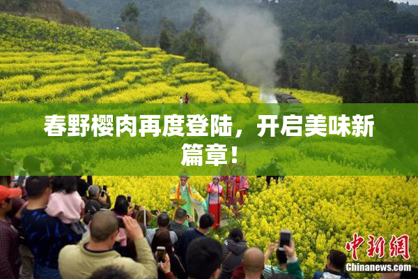 春野樱肉再度登陆，开启美味新篇章！