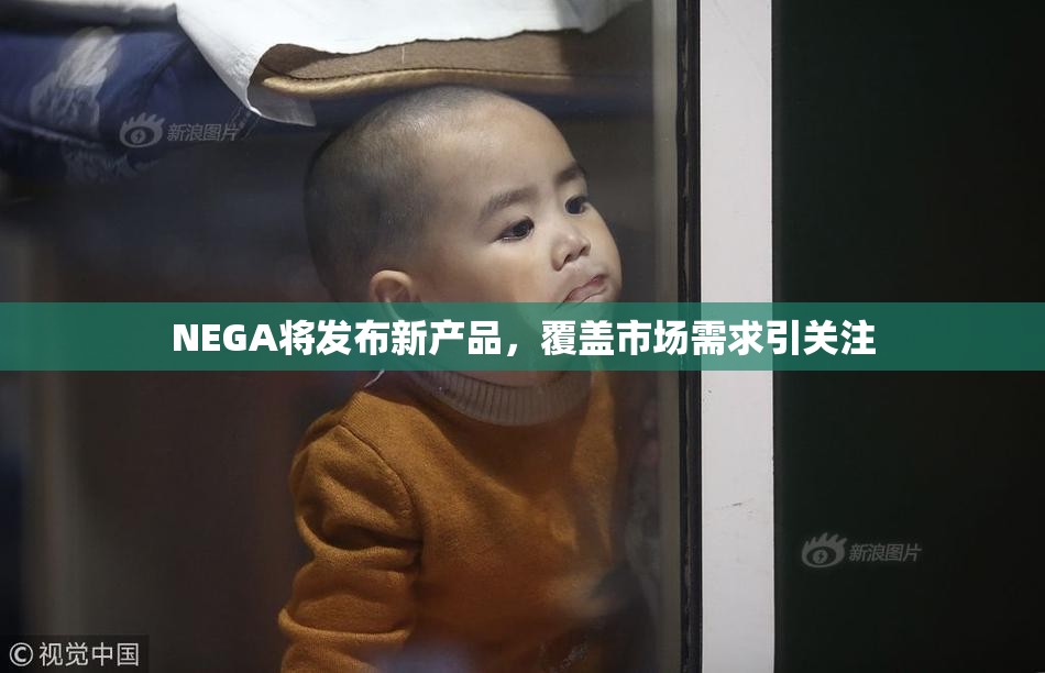 NEGA将发布新产品，覆盖市场需求引关注