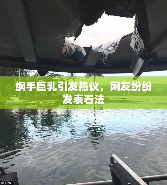 纲手巨乳引发热议，网友纷纷发表看法