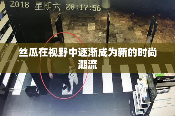 丝瓜在视野中逐渐成为新的时尚潮流