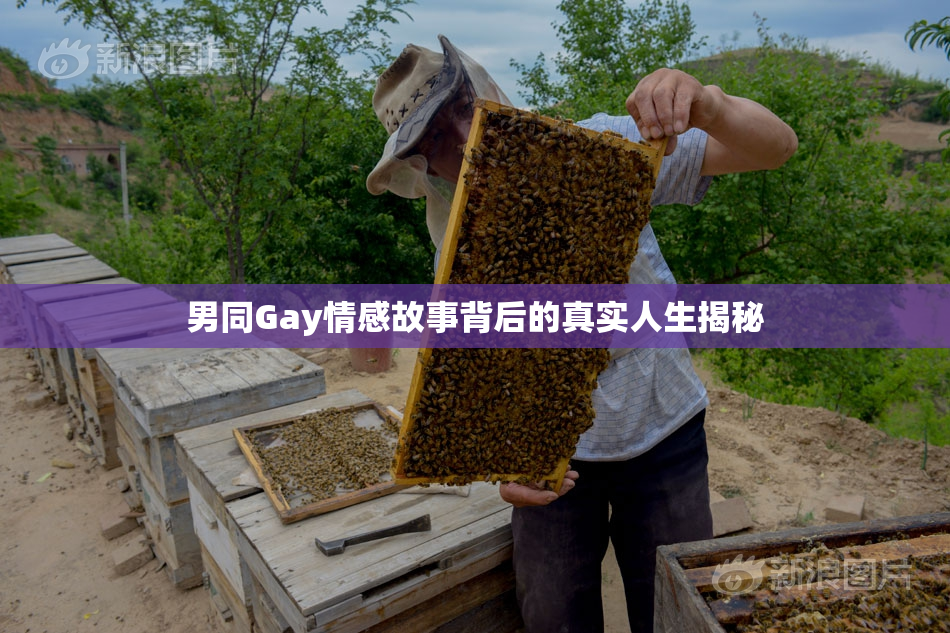 男同Gay情感故事背后的真实人生揭秘