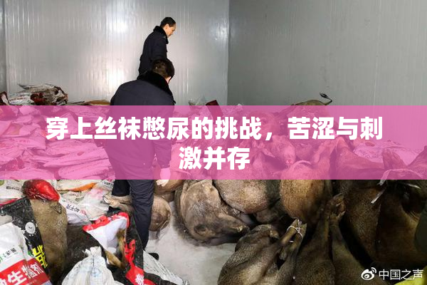 穿上丝袜憋尿的挑战，苦涩与刺激并存
