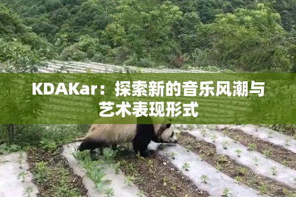 KDAKar：探索新的音乐风潮与艺术表现形式
