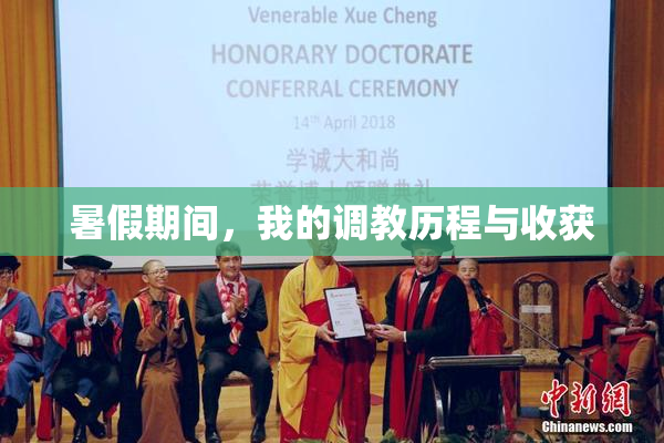 暑假期间，我的调教历程与收获