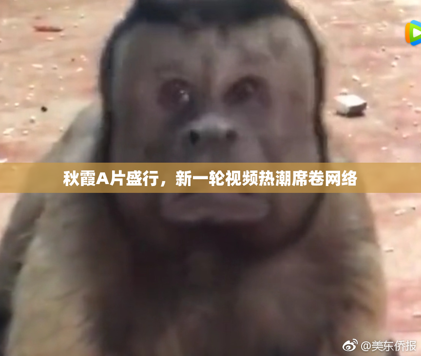 秋霞A片盛行，新一轮视频热潮席卷网络