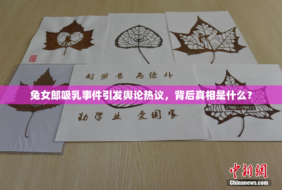 兔女郎吸乳事件引发舆论热议，背后真相是什么？