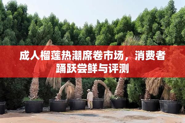 成人榴莲热潮席卷市场，消费者踊跃尝鲜与评测