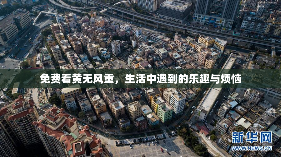 免费看黄无风重，生活中遇到的乐趣与烦恼