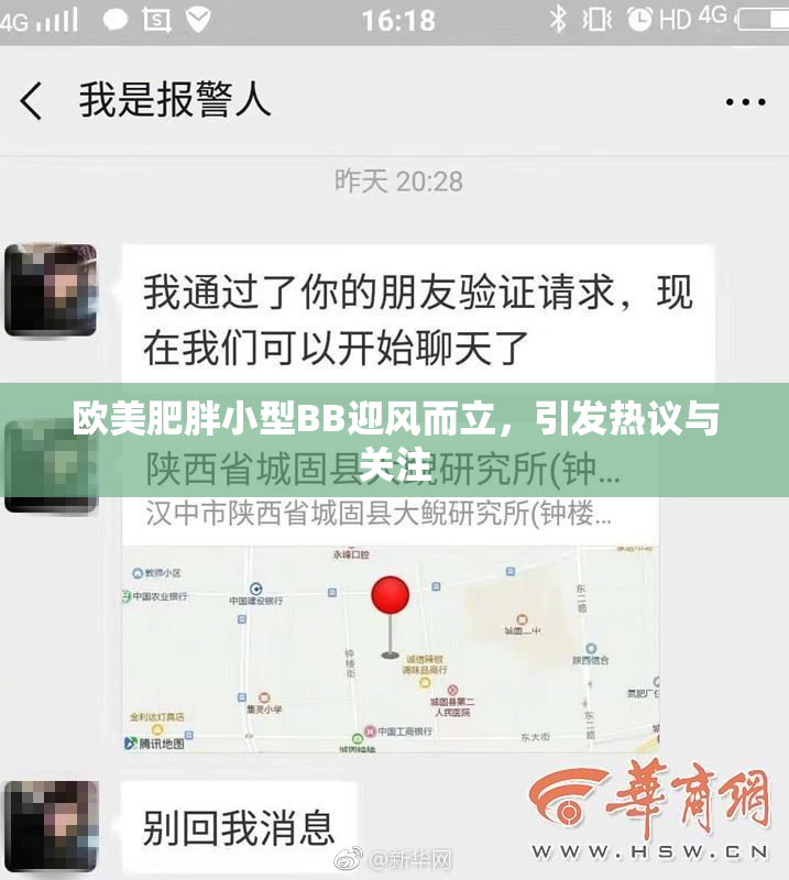 欧美肥胖小型BB迎风而立，引发热议与关注