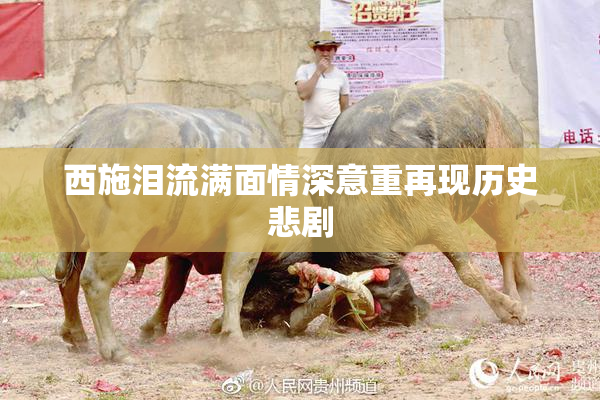 西施泪流满面情深意重再现历史悲剧
