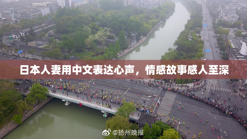 日本人妻用中文表达心声，情感故事感人至深