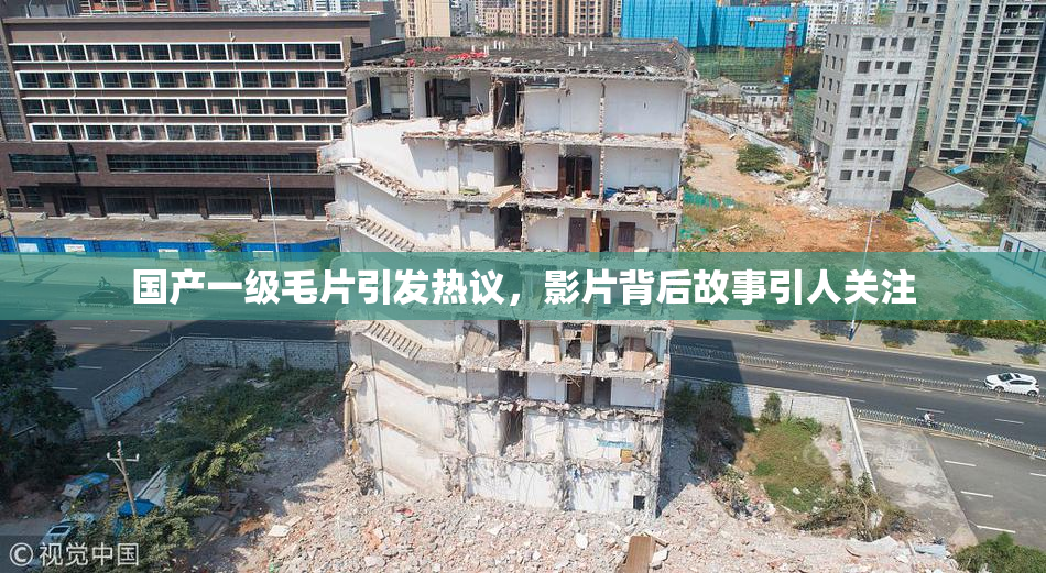 国产一级毛片引发热议，影片背后故事引人关注