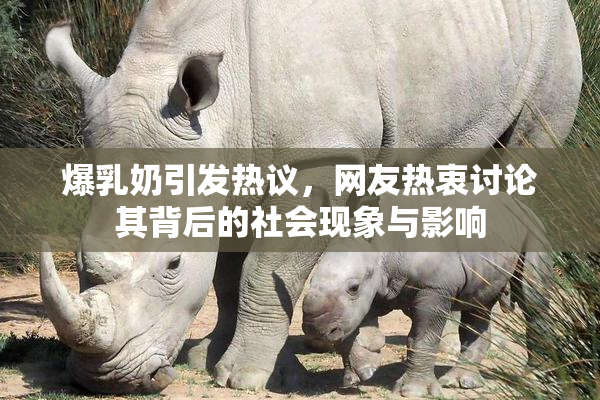 爆乳奶引发热议，网友热衷讨论其背后的社会现象与影响