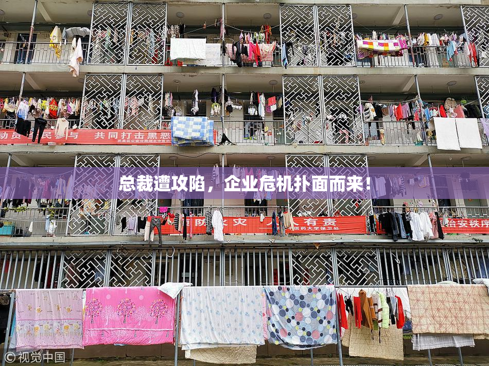 总裁遭攻陷，企业危机扑面而来！