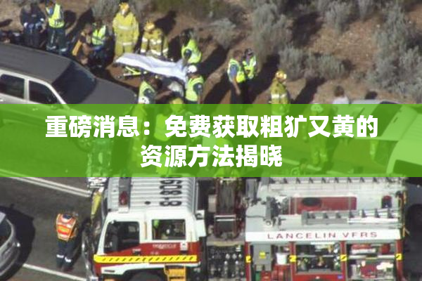 重磅消息：免费获取粗犷又黄的资源方法揭晓