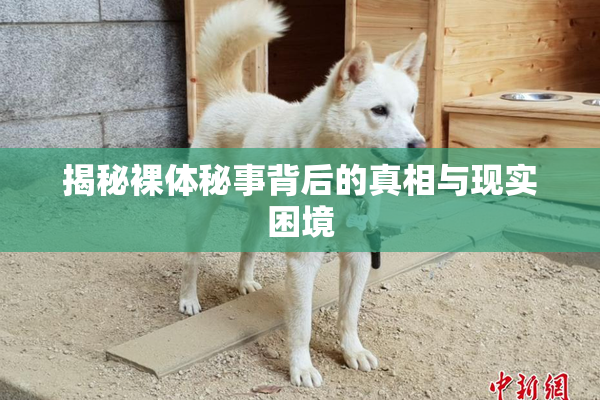 揭秘裸体秘事背后的真相与现实困境