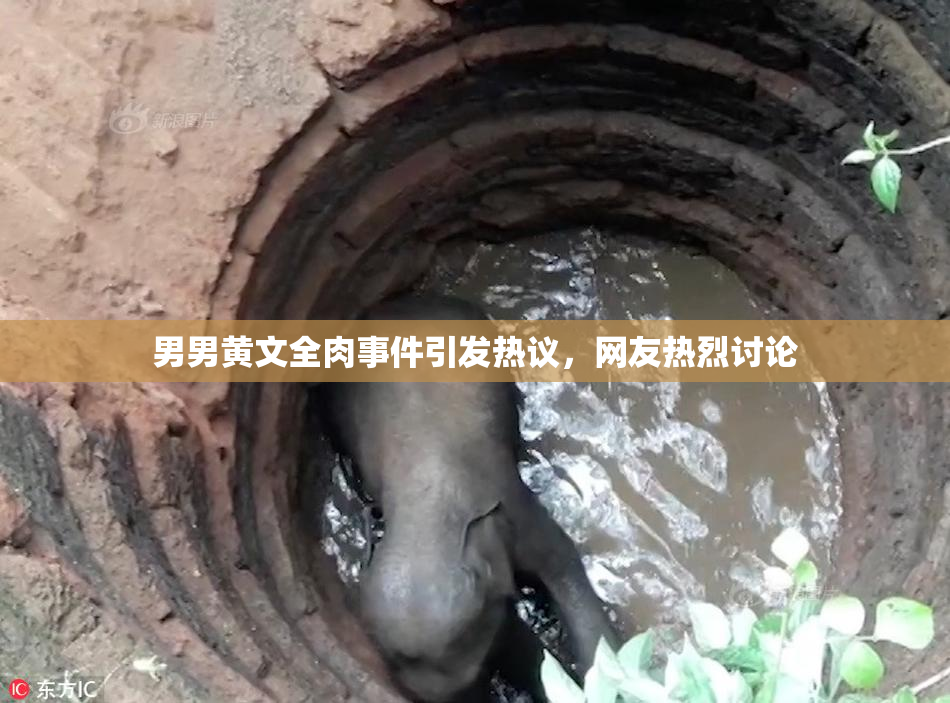 男男黄文全肉事件引发热议，网友热烈讨论