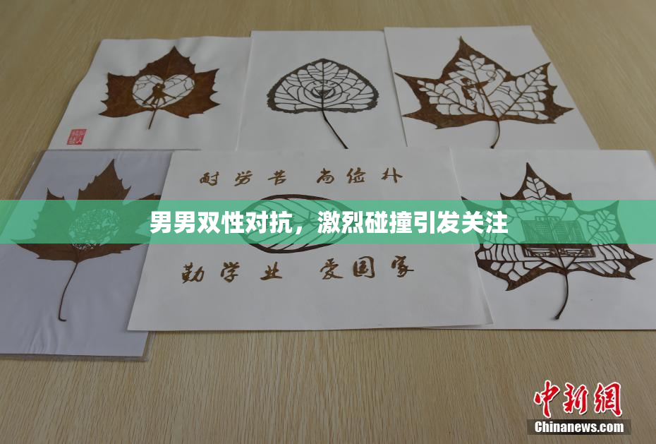男男双性对抗，激烈碰撞引发关注