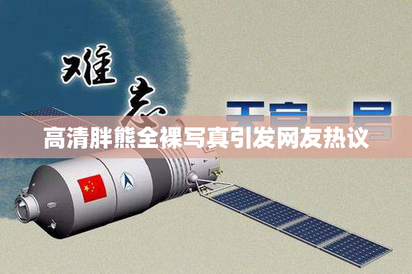 高清胖熊全裸写真引发网友热议