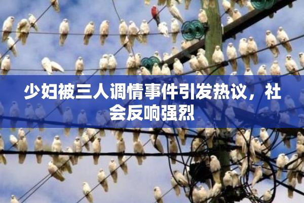 少妇被三人调情事件引发热议，社会反响强烈