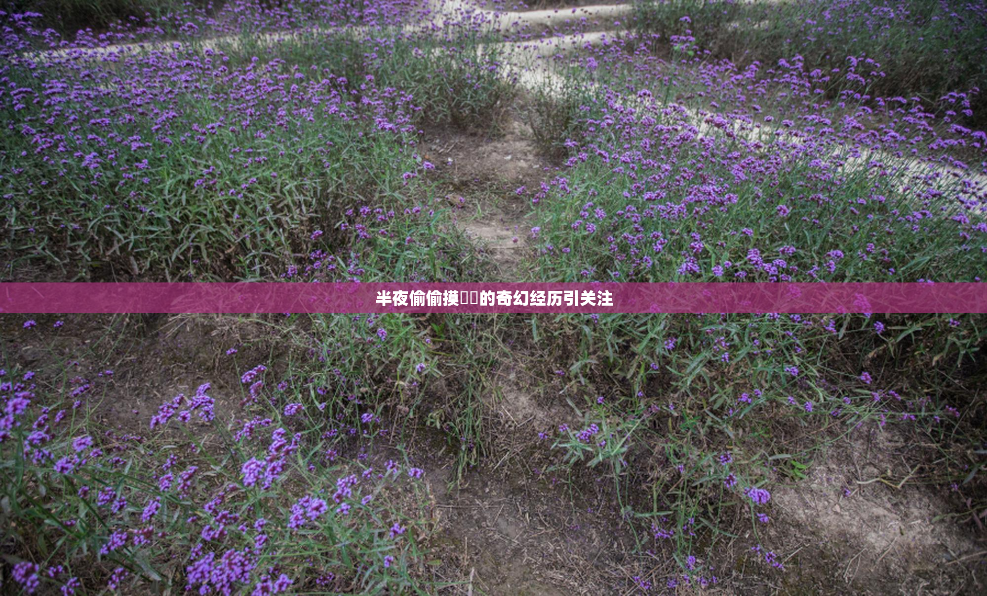 半夜偷偷摸妺妺的奇幻经历引关注