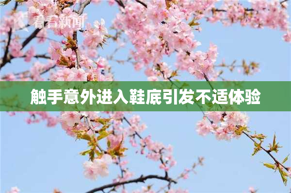 触手意外进入鞋底引发不适体验
