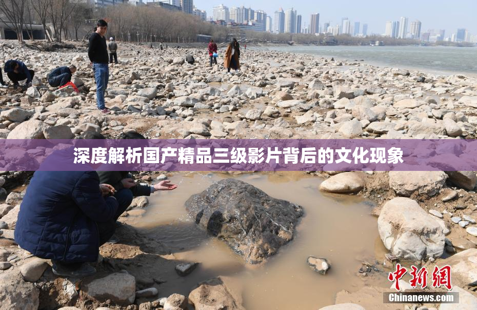 深度解析国产精品三级影片背后的文化现象
