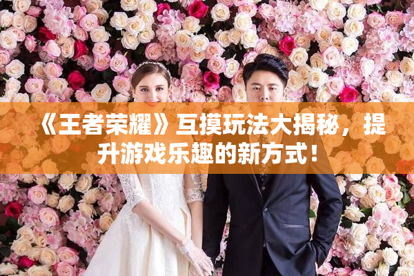 《王者荣耀》互摸玩法大揭秘，提升游戏乐趣的新方式！