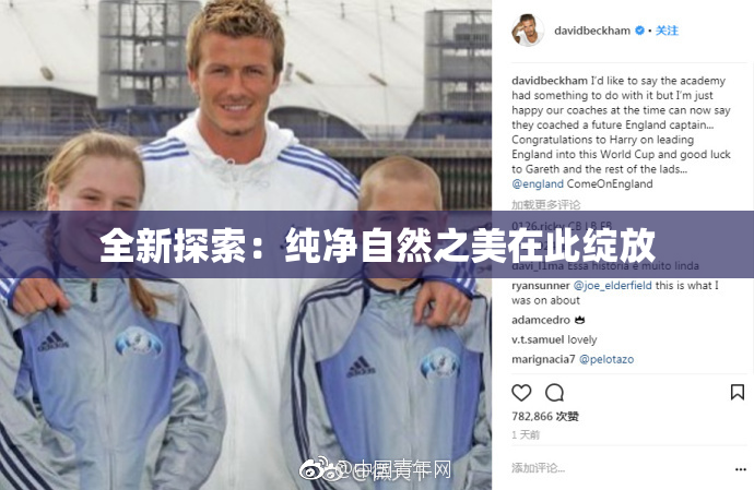 全新探索：纯净自然之美在此绽放