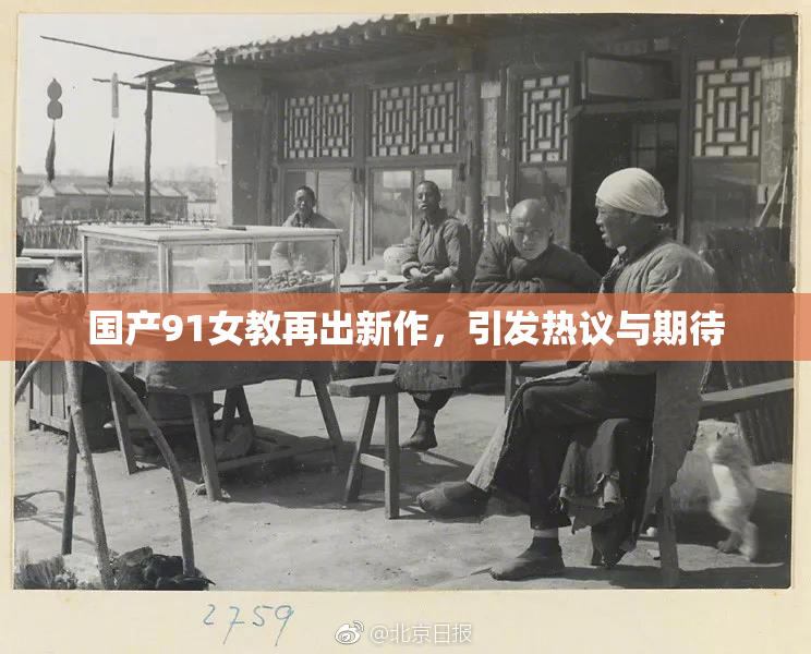 国产91女教再出新作，引发热议与期待