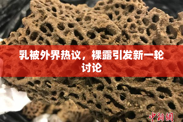 乳被外界热议，裸露引发新一轮讨论