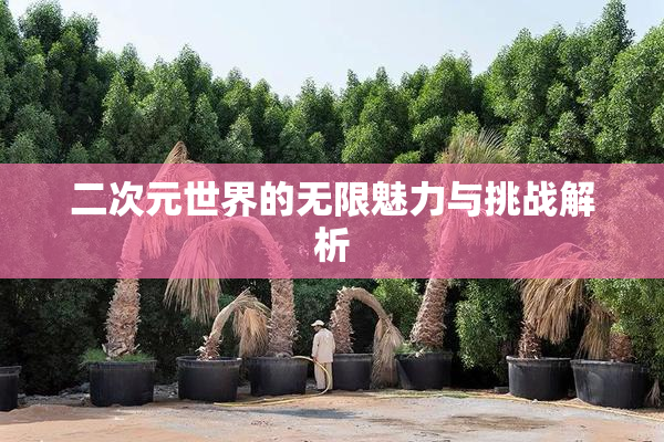 二次元世界的无限魅力与挑战解析