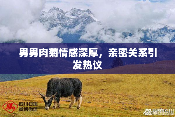 男男肉菊情感深厚，亲密关系引发热议