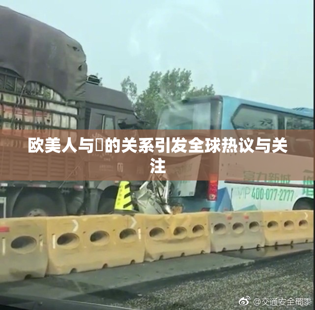 欧美人与嘼的关系引发全球热议与关注
