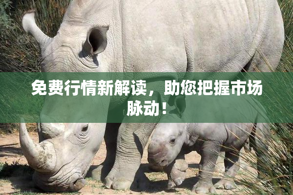免费行情新解读，助您把握市场脉动！