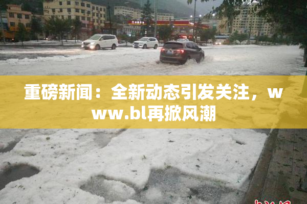 重磅新闻：全新动态引发关注，www.bl再掀风潮