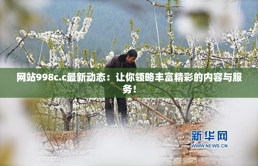 网站998c.c最新动态：让你领略丰富精彩的内容与服务！