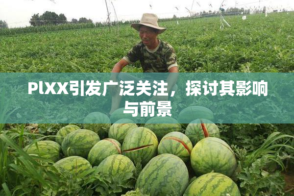 PlXX引发广泛关注，探讨其影响与前景