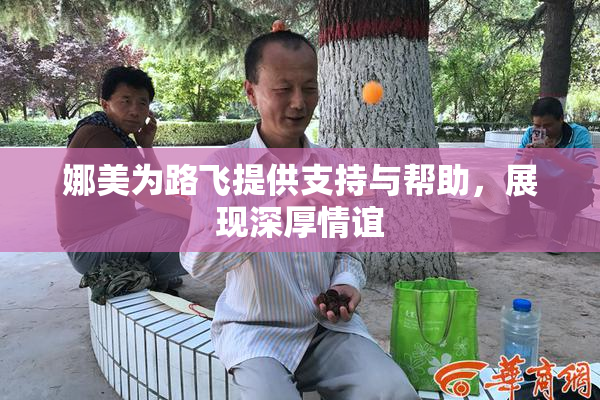 娜美为路飞提供支持与帮助，展现深厚情谊