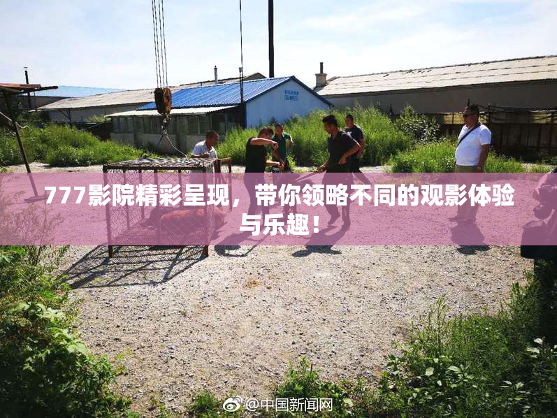 777影院精彩呈现，带你领略不同的观影体验与乐趣！