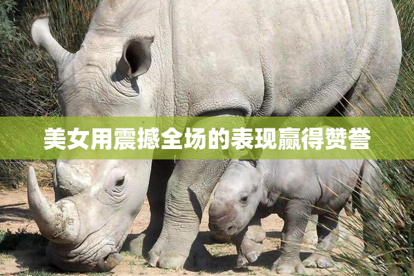 美女用震撼全场的表现赢得赞誉