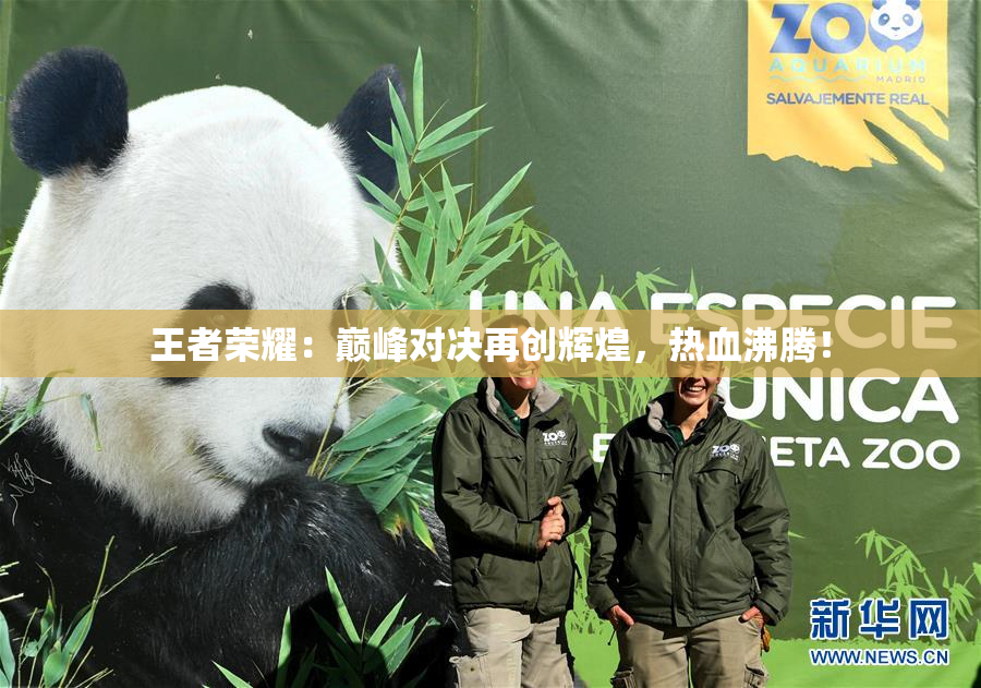 王者荣耀：巅峰对决再创辉煌，热血沸腾！