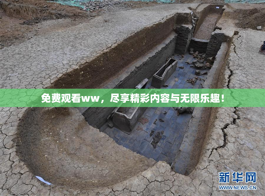免费观看ww，尽享精彩内容与无限乐趣！