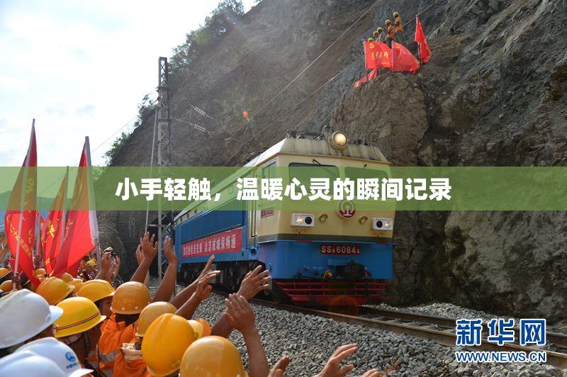 小手轻触，温暖心灵的瞬间记录